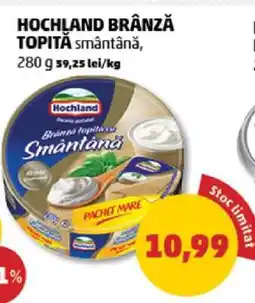 Penny Hochland Brânză Topită Smântână Ofertă