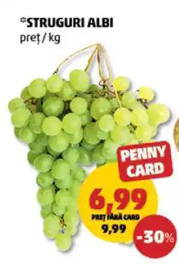 Penny Struguri albi Ofertă