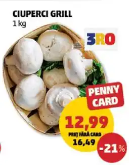Penny Ciuperci grill Ofertă