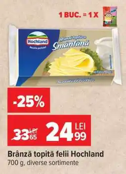 Carrefour Brânză topită felii Hochland Ofertă