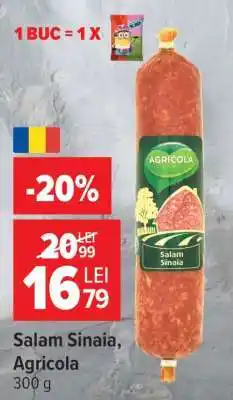 Carrefour Salam Sinaia, Agricola Ofertă