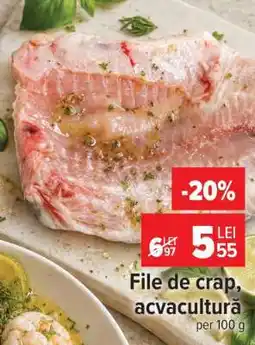 Carrefour File de crap acvacultură Ofertă