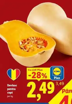 Lidl Dovleac pentru copt Ofertă