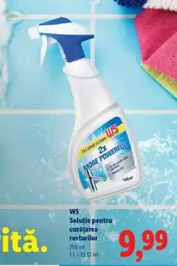 Lidl W5 Soluție pentru curățarea rosturilor Ofertă