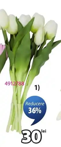 JYSK tulipane albe Ofertă