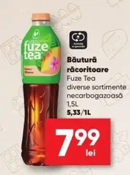 PROFI Fuze Tea Ofertă
