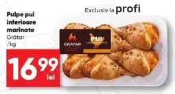 PROFI Grătar pulpe pui inferioare marinate Ofertă