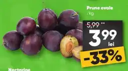 PROFI Prune ovale Ofertă
