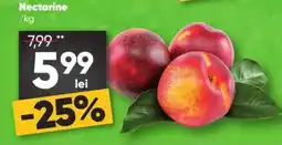 PROFI Nectarine Ofertă