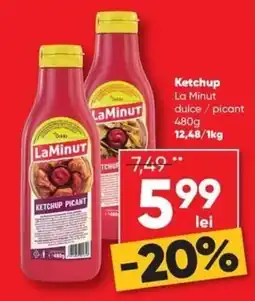PROFI LaMinut ketchup dulce / picant Ofertă
