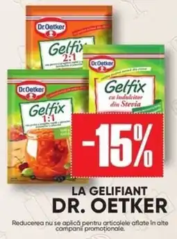 PROFI Dr. Oetker Gelfix Ofertă