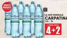 PROFI Carpatina Ofertă