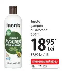 DM Inecto șampon cu avocado Ofertă
