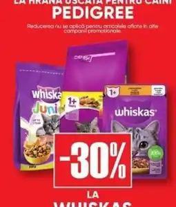 PROFI whiskas Ofertă