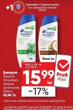 PROFI Head & Shoulders Ofertă