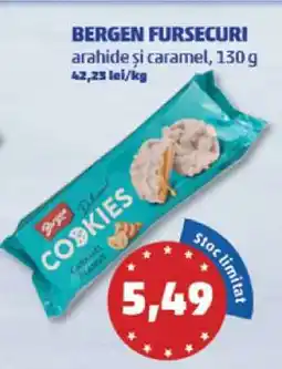 Penny BERGEN FURSECURI Ofertă
