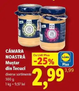 Lidl Muștar din Tecuci Ofertă