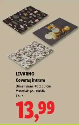 Lidl Livarno Covoraș intrare Ofertă