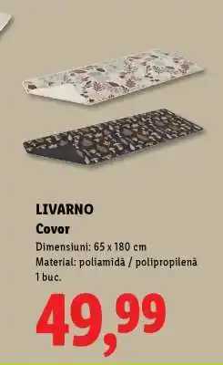 Lidl Livarno Covor Ofertă
