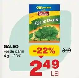 Annabella Galeo foi de dafin Ofertă