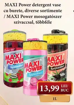CBA Maxi Power detergent vase cu burete Ofertă