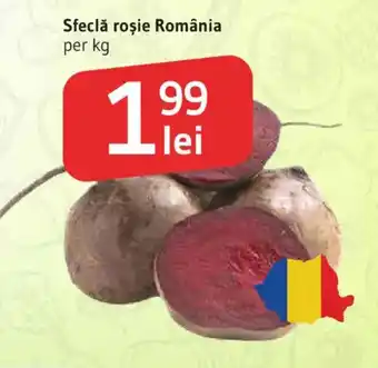Sfeclă roșie România