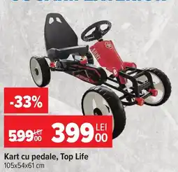 Carrefour Top Life kart cu pedale Ofertă