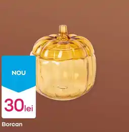 Pepco Borcan Ofertă