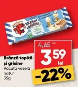 PROFI Brânză topită și grăsine Ofertă