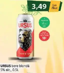 CBA Ursus bere blondă Ofertă