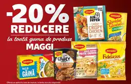 Kaufland Maggi Ofertă