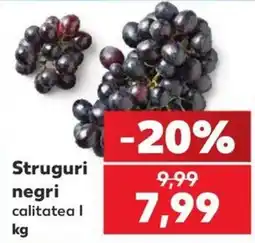 Kaufland Struguri negri Ofertă