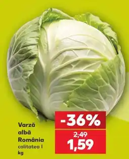 Kaufland Varză albă Ofertă