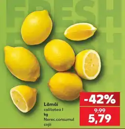 Kaufland Lămâi Ofertă