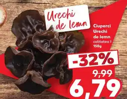 Kaufland Ciuperci Urechi de lemn Ofertă