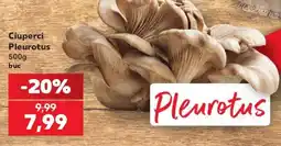 Kaufland Ciuperci Pleurotus Ofertă