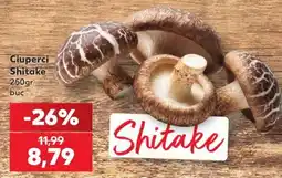 Kaufland Ciuperci Shitake Ofertă
