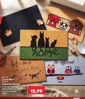 Livarno covoras intrare