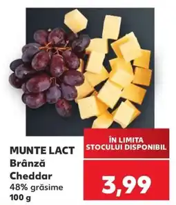 Kaufland Munte Lact Brânză Cheddar Ofertă