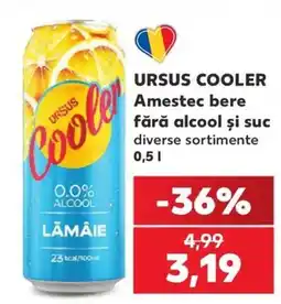 Kaufland Ursus cooler Ofertă