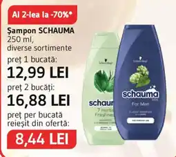 Supeco Schauma Ofertă