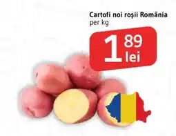 Supeco Cartofi noi roșii România Ofertă