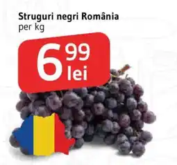 Supeco Struguri negri România Ofertă