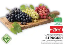 Mega Image Grădina Mega struguri Ofertă