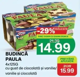 Budincă paula