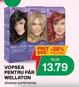 Diana Supermarket Wellaton vopsea pentru păr Ofertă