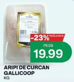 Diana Supermarket Gallicoop aripi de curcan Ofertă