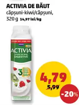 Penny Activia cǎpșuni-kiwi/cǎpșuni Ofertă
