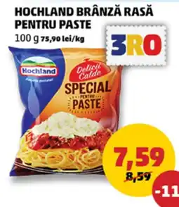 Penny Hochland brânză rasă pentru paste Ofertă