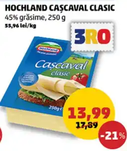 Penny Hochland cașcaval clasic Ofertă